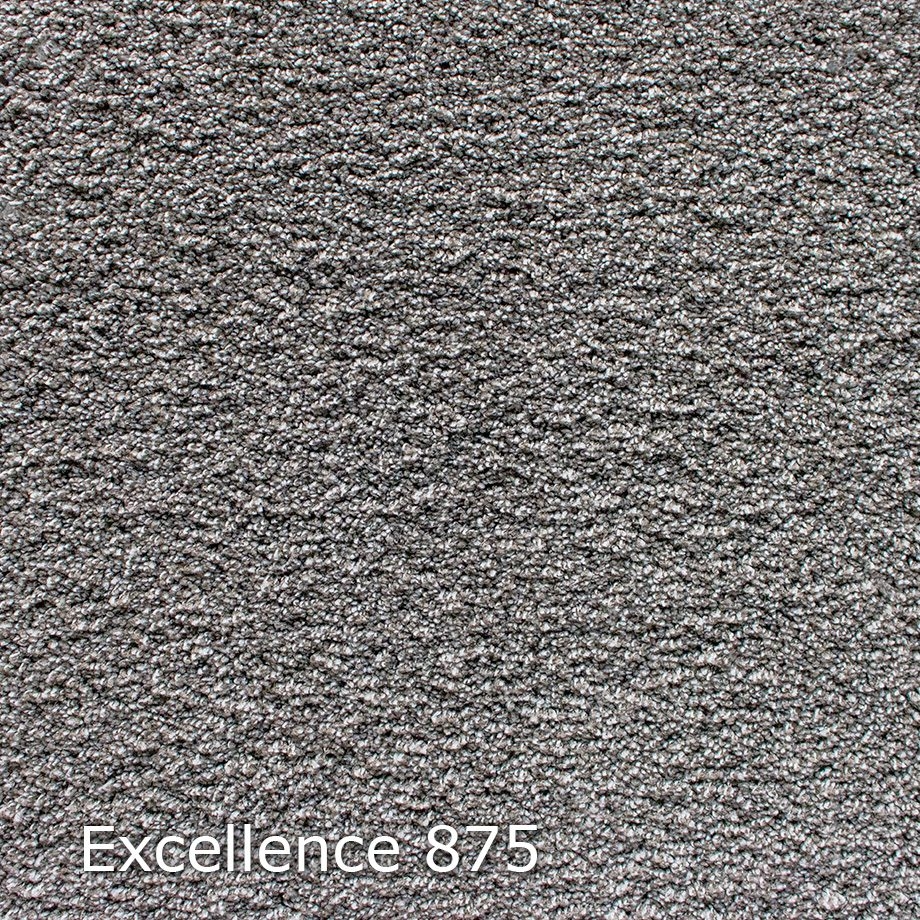 Excellence-875