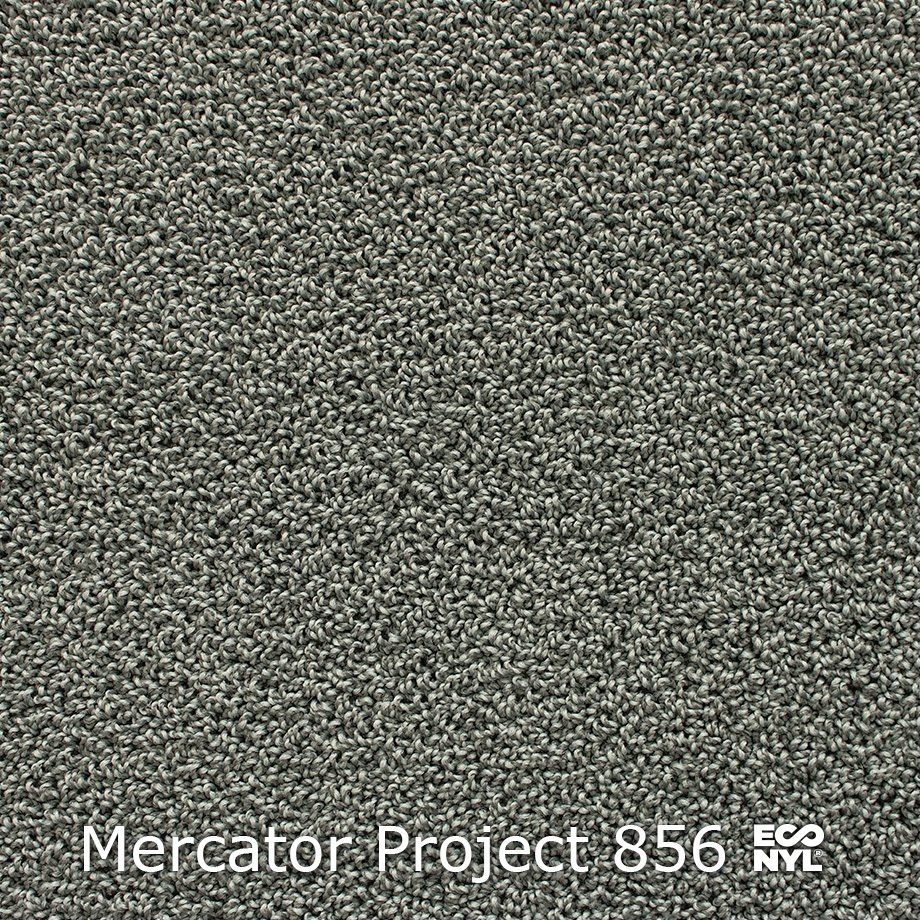 Mercator-Project-856