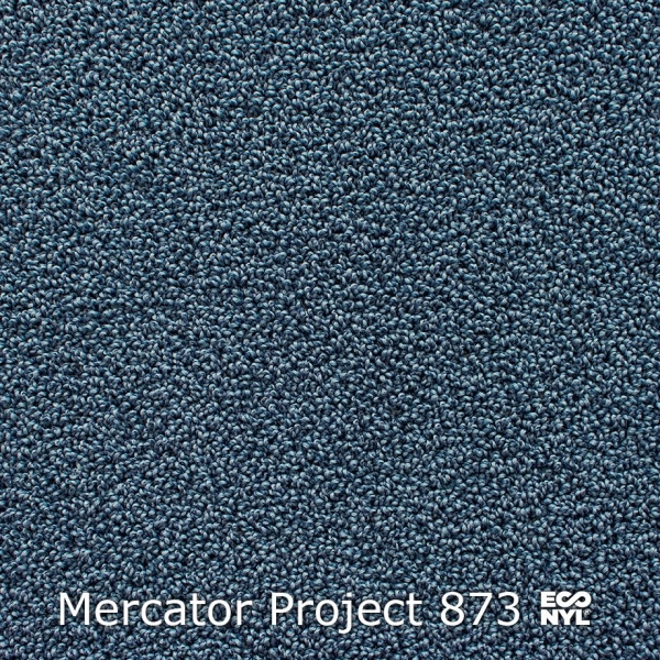 Mercator-Project-873