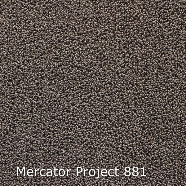Mercator-Project-881