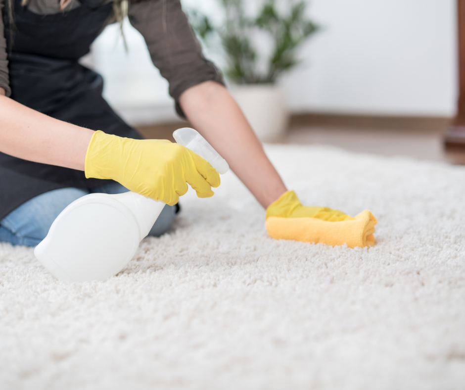 Medisch wangedrag Grootte verontreiniging Hoe kan ik mijn tapijt het beste zelf reinigen? | TapijtNodig.nl