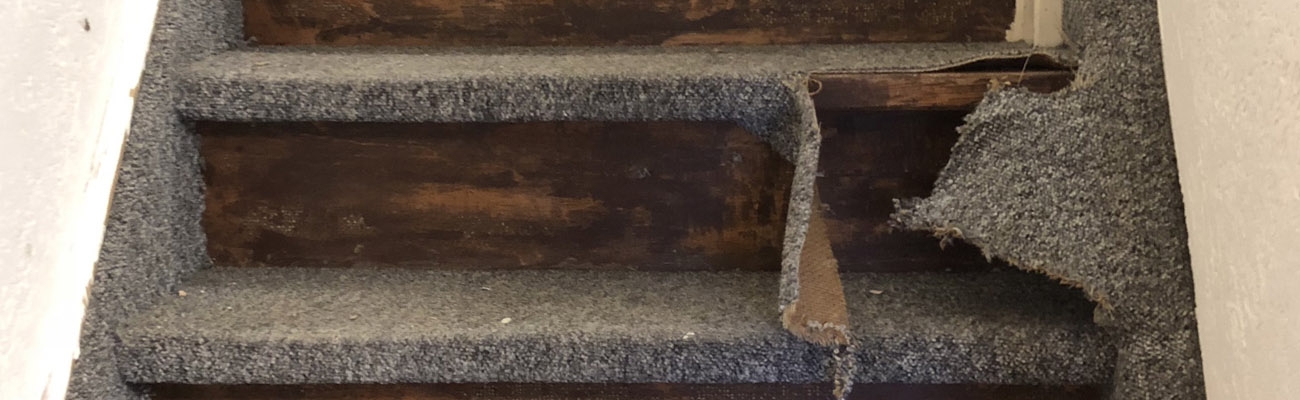 Vuiligheid wees onder de indruk Verhuizer Hoe verwijder ik tapijt van mijn trap? | Handige tips!