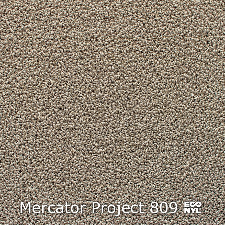 Mercator-Project-809
