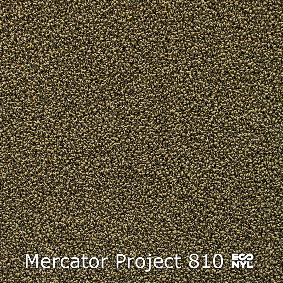 Mercator-Project-810