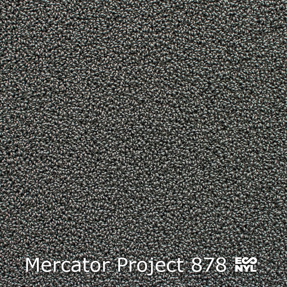Mercator-Project-878
