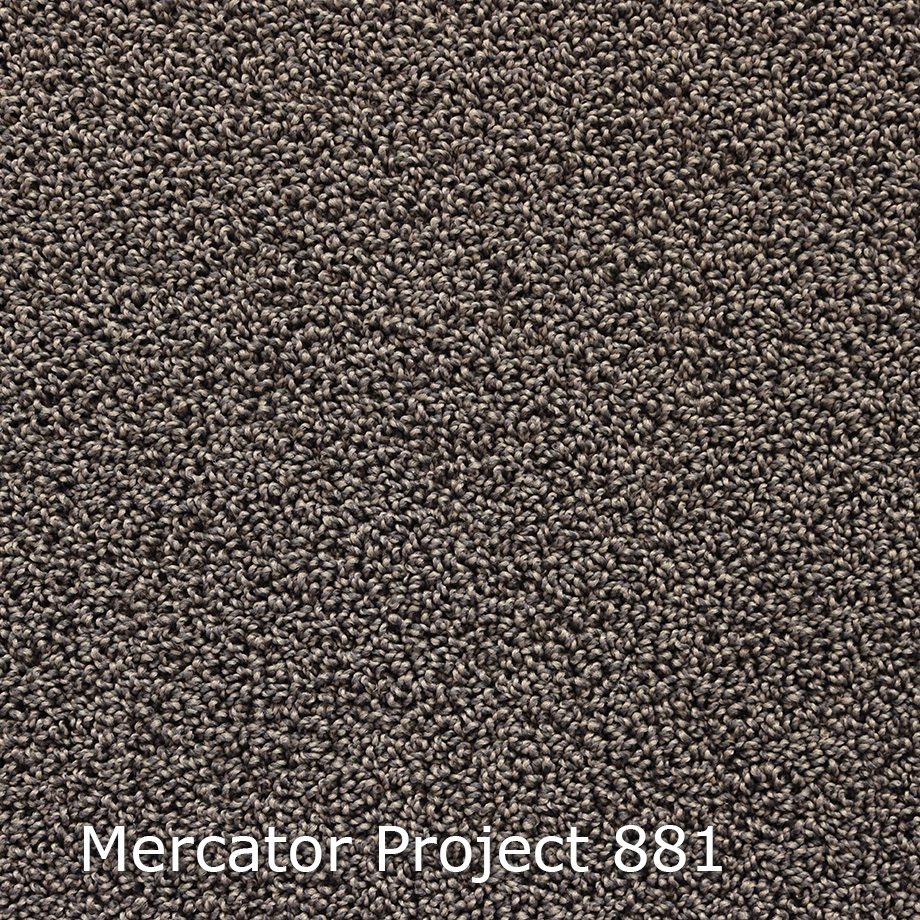 Mercator-Project-881