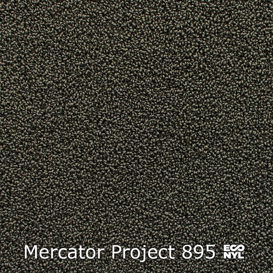 Mercator-Project-895