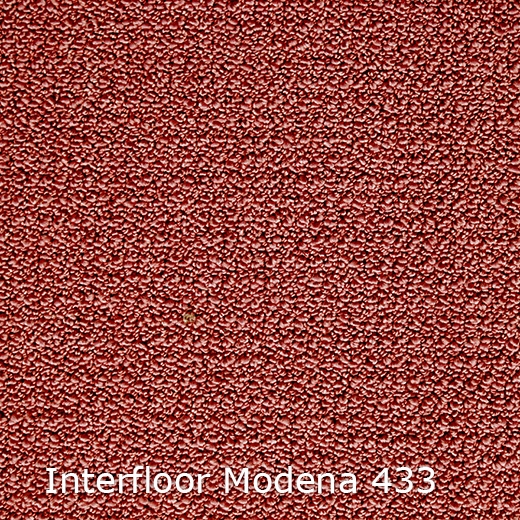 Modena-433