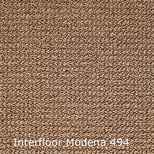 Modena-494