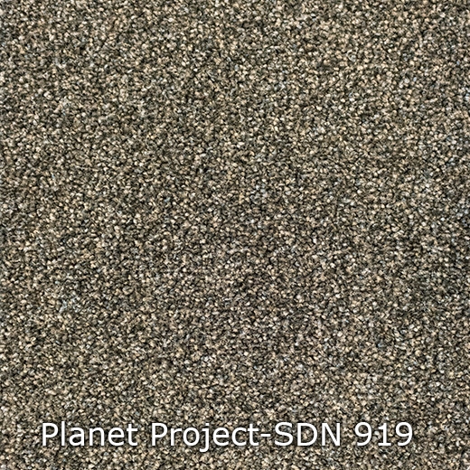 Planet-919
