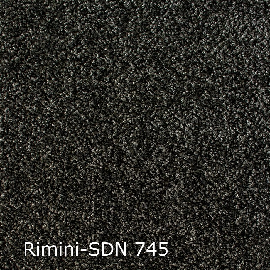 Rimini-SDN-745