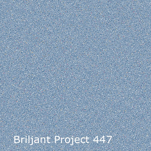 Briljant Project-447