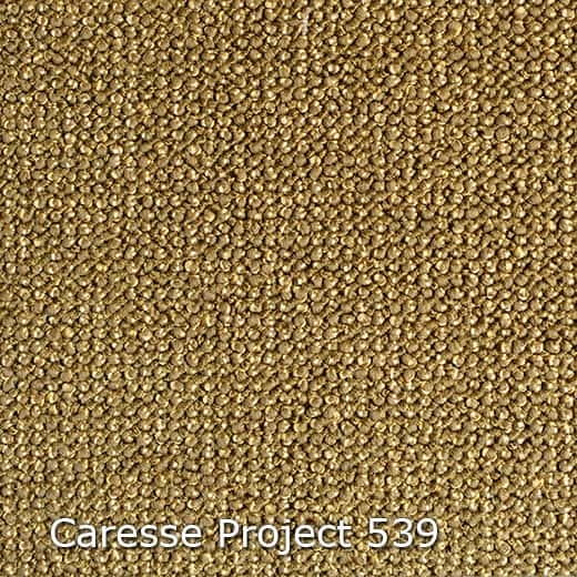 Caresse-539