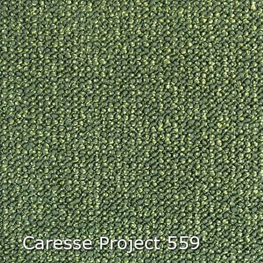 Caresse-559