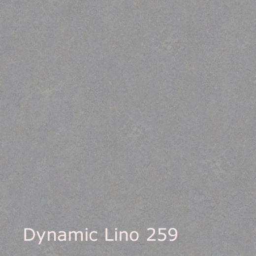 Dynamic Lino-259