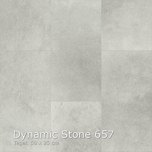 Dynamic Stone-657