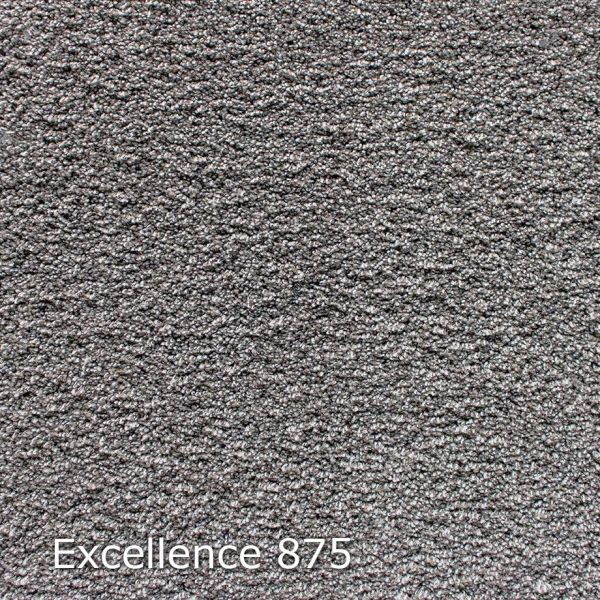 Excellence-875
