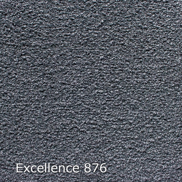 Excellence-876