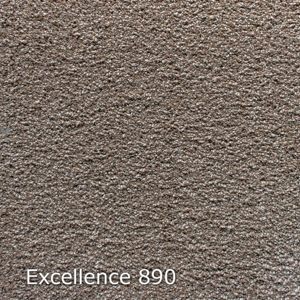 Excellence-890