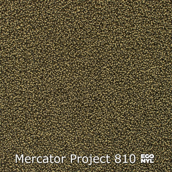 Mercator-Project-810