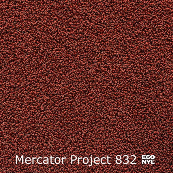 Mercator-Project-832