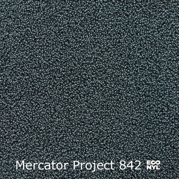 Mercator-Project-842