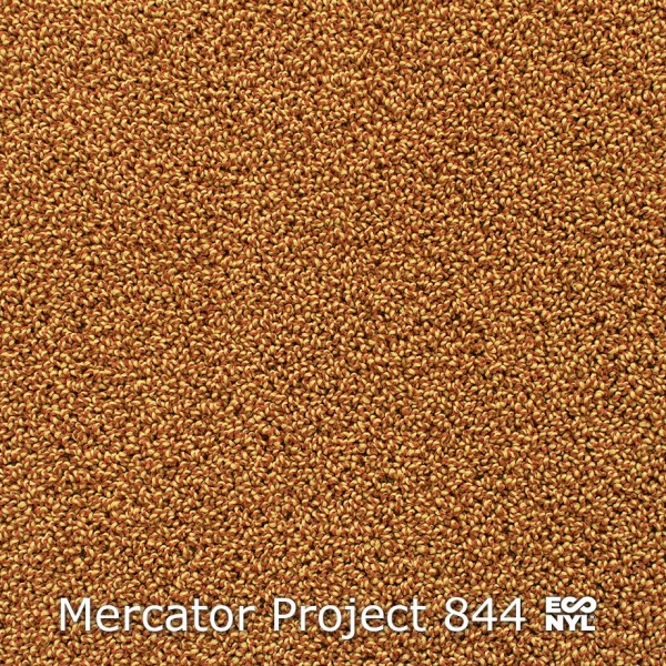 Mercator-Project-844