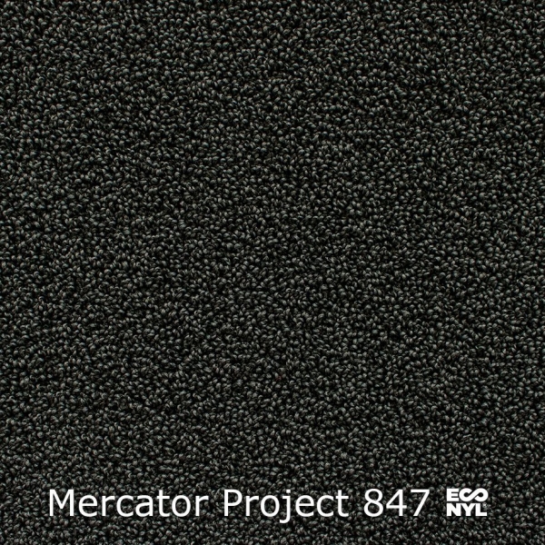 Mercator-Project-847