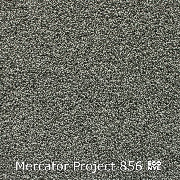 Mercator-Project-856