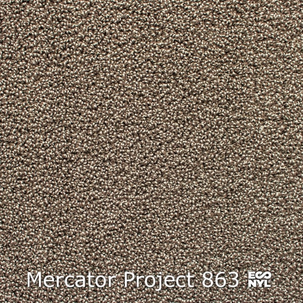 Mercator-Project-863