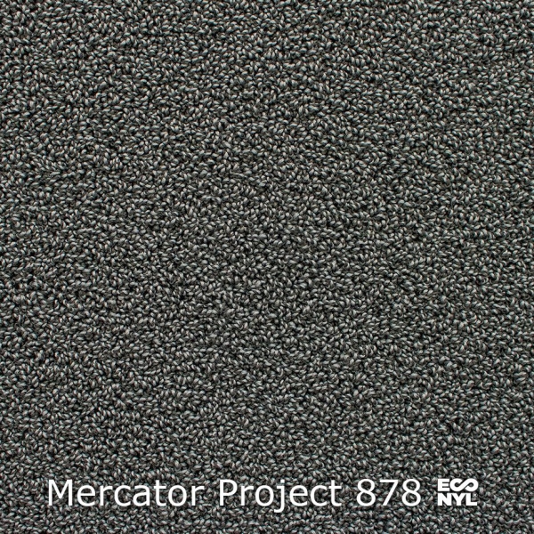 Mercator-Project-878