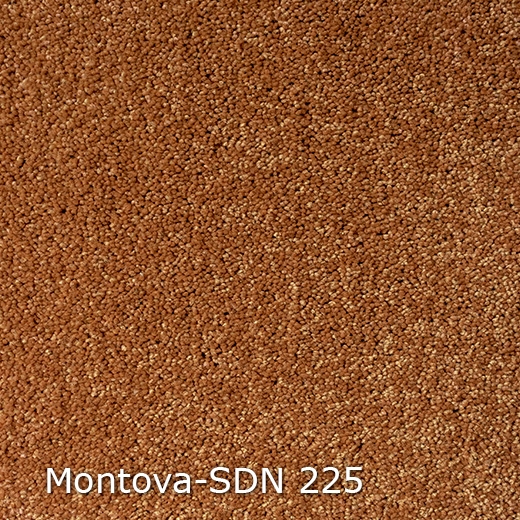 Montova SDN-225