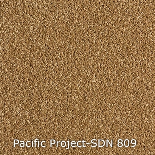 Pacific-Project-SDN-809