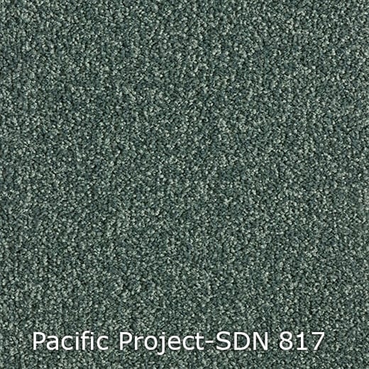 Pacific-Project-SDN-817