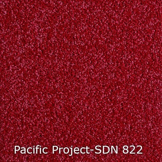 Pacific-Project-SDN-822