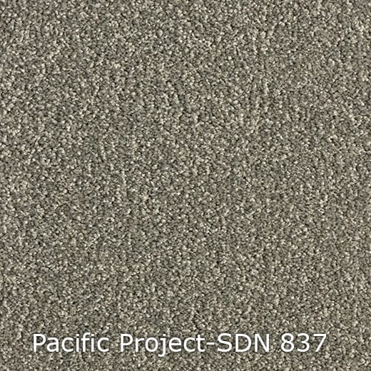 Pacific-Project-SDN-837