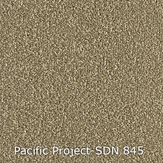 Pacific-Project-SDN-845