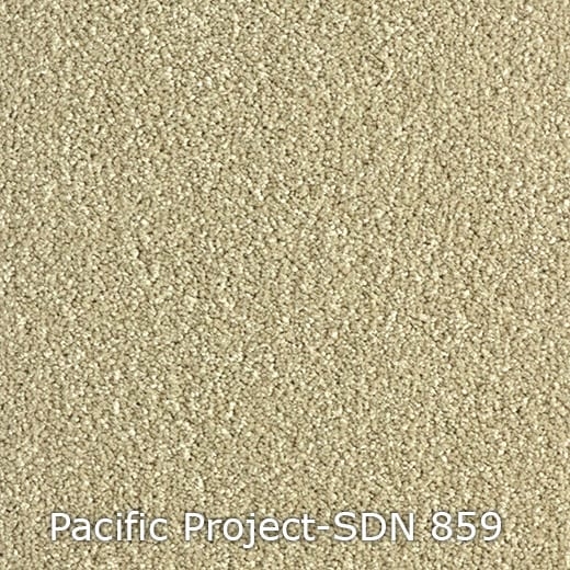 Pacific-Project-SDN-859