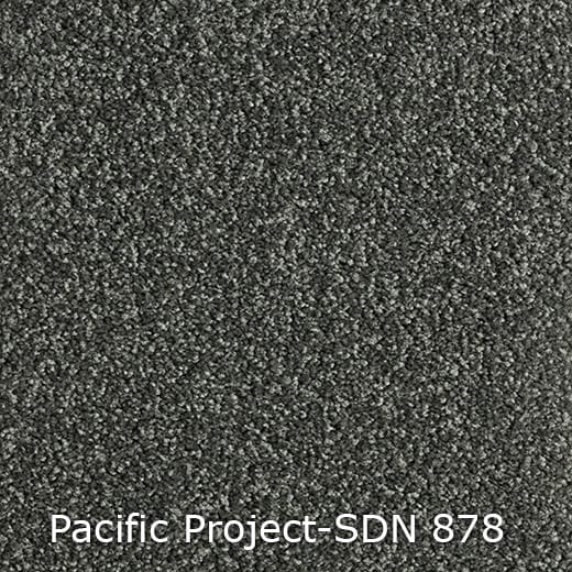 Pacific-Project-SDN-878