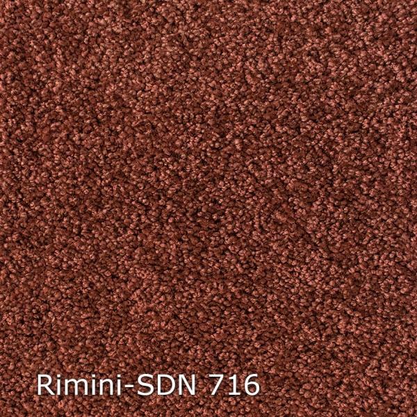 Rimini-SDN-716