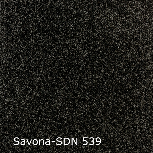 Savona SDN-539
