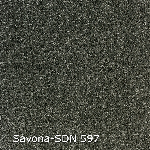 Savona SDN-597