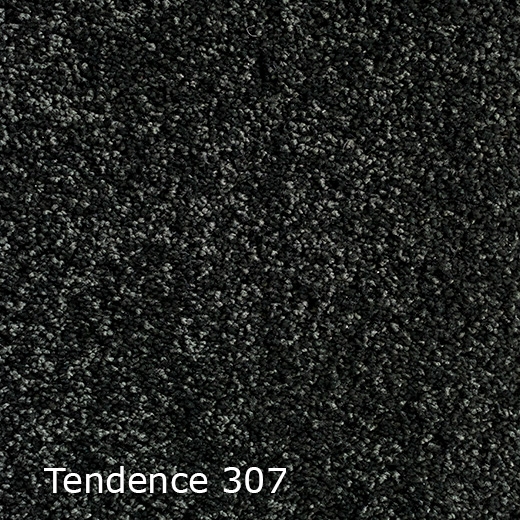 Tendence-307
