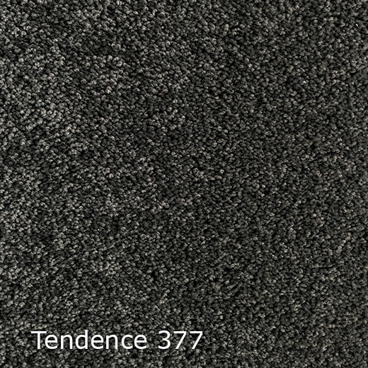Tendence-377